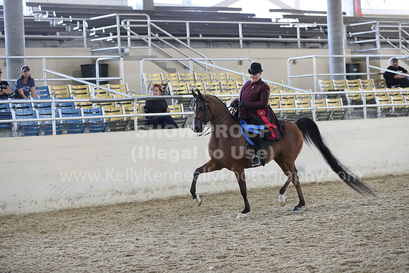 RCAHA19_FriPM_2068