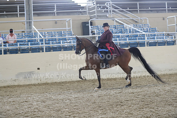 RCAHA19_FriPM_2070