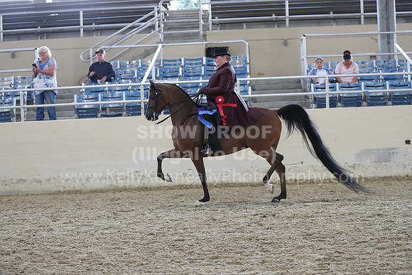 RCAHA19_FriPM_2071