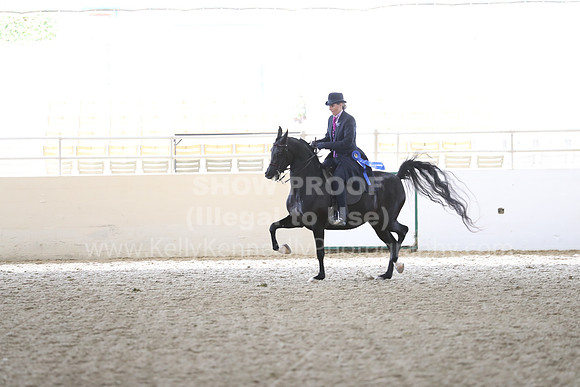RCAHA19_FriPM_2074