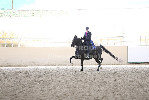 RCAHA19_FriPM_2075