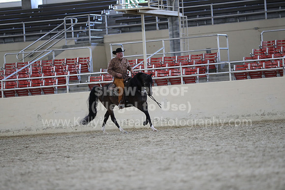 RCAHA19_FriPM_2184