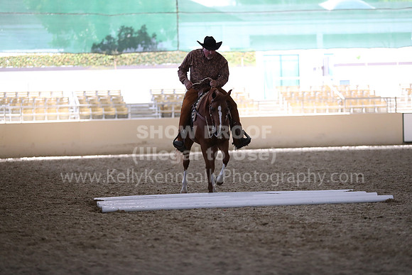 RCAHA19_FriPM_2196