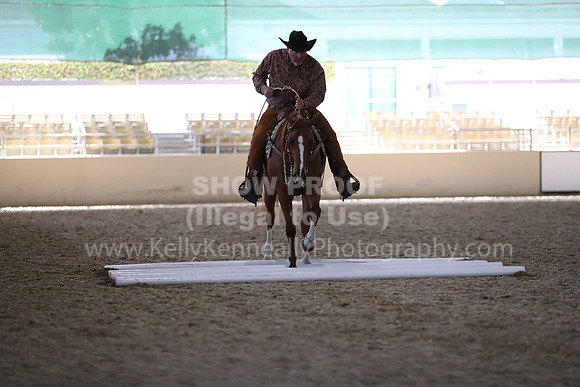 RCAHA19_FriPM_2197
