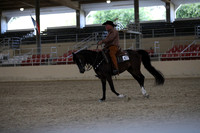 RCAHA19_FriPM_2203