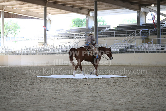 RCAHA19_FriPM_2223