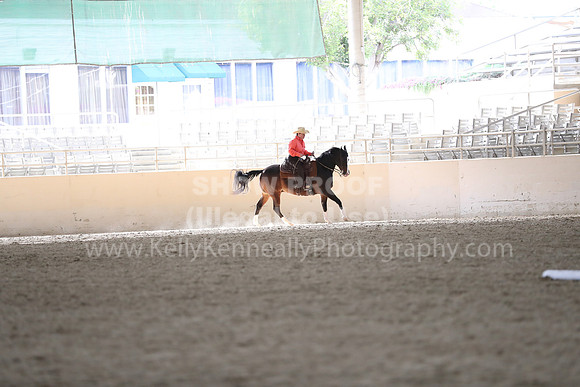 RCAHA19_FriPM_2236