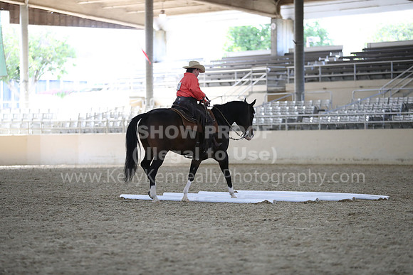 RCAHA19_FriPM_2237