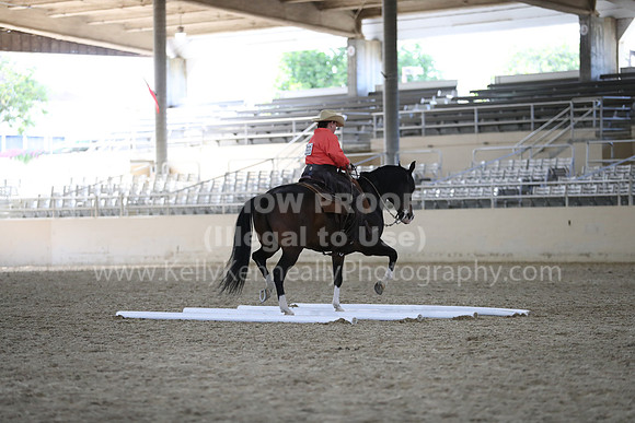 RCAHA19_FriPM_2238
