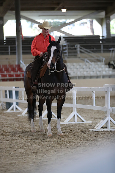 RCAHA19_FriPM_2239