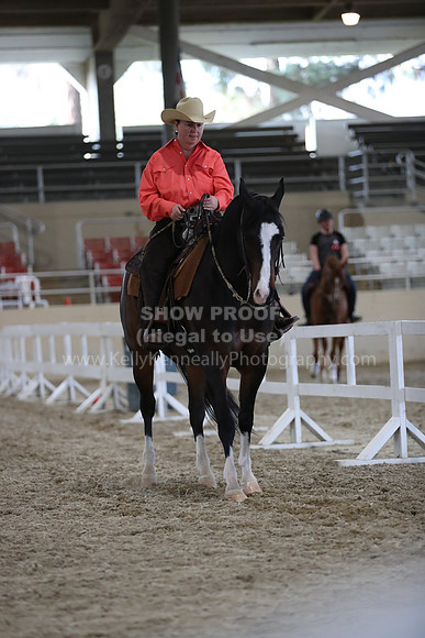 RCAHA19_FriPM_2240