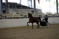 RCAHA19_SatAM_2244