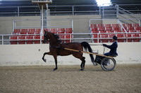 RCAHA19_SatAM_2247