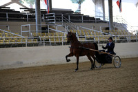 RCAHA19_SatAM_2245