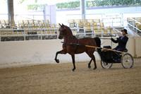 RCAHA19_SatAM_2248
