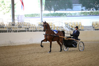 RCAHA19_SatAM_2257