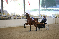 RCAHA19_SatAM_2258