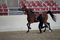 RCAHA19_SatAM_2277