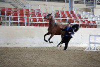 RCAHA19_SatAM_2284