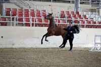 RCAHA19_SatAM_2285