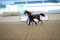 RCAHA19_SatAM_2297