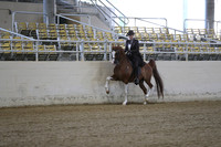 RCAHA19_SatAM_2346