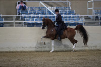 RCAHA19_SatAM_2351