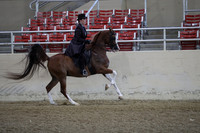 RCAHA19_SatAM_2354