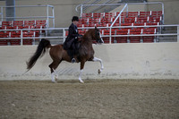 RCAHA19_SatAM_2360