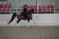 RCAHA19_SatAM_2361