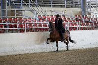 Class 117 HA/AA Country English Pleasure Junior Horse