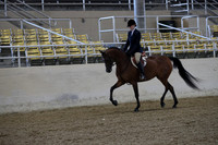 RCAHA19_SatAM_2389