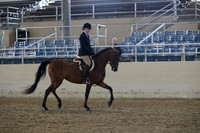 RCAHA19_SatAM_2392