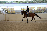 RCAHA19_SatAM_2397