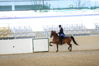 RCAHA19_SatAM_2373