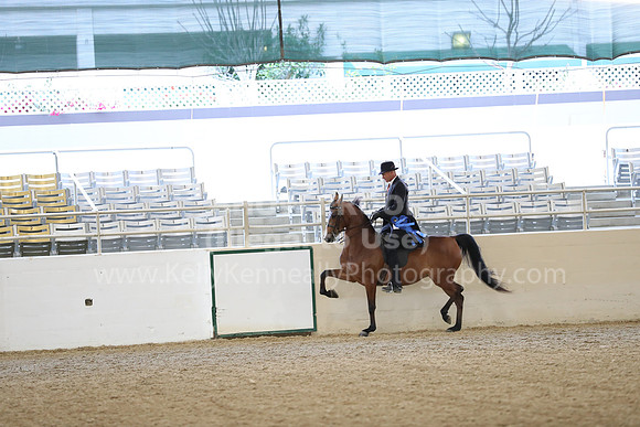 RCAHA19_SatAM_2373