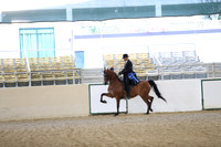 RCAHA19_SatAM_2374