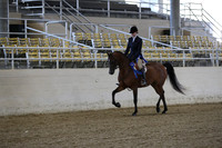 RCAHA19_SatAM_2398