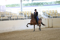 RCAHA19_SatAM_2377