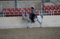 Class 119 Arabian Western Pleasure Open