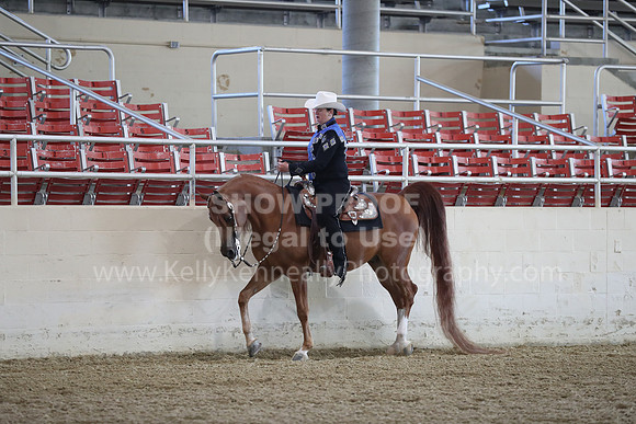 RCAHA19_SatAM_2417