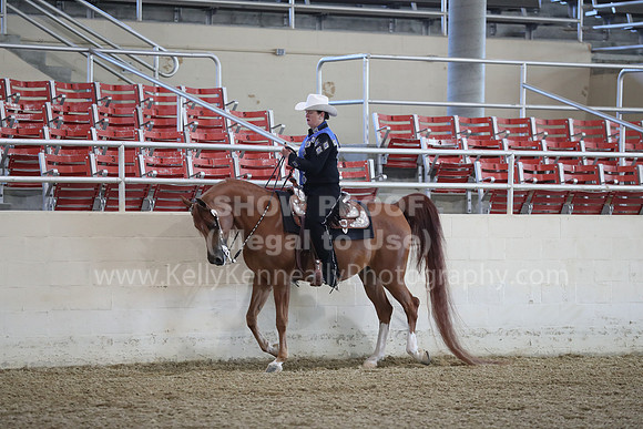 RCAHA19_SatAM_2418