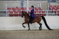 RCAHA19_SatAM_2501