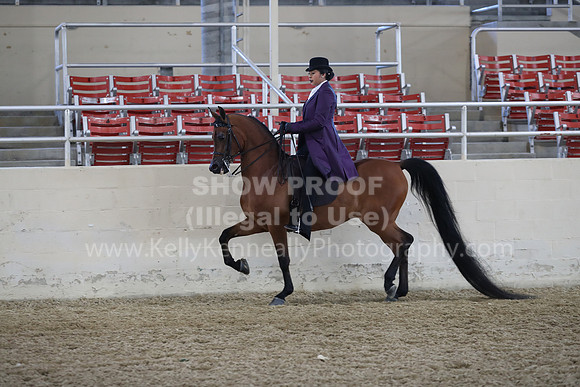 RCAHA19_SatAM_2501