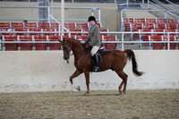 RCAHA19_SatAM_2567