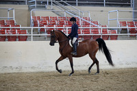 RCAHA19_SatAM_2569