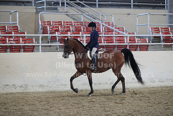 RCAHA19_SatAM_2569