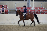 RCAHA19_SatAM_2570
