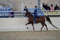 RCAHA19_SatAM_2507