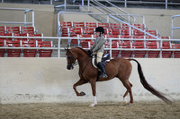 RCAHA19_SatAM_2573